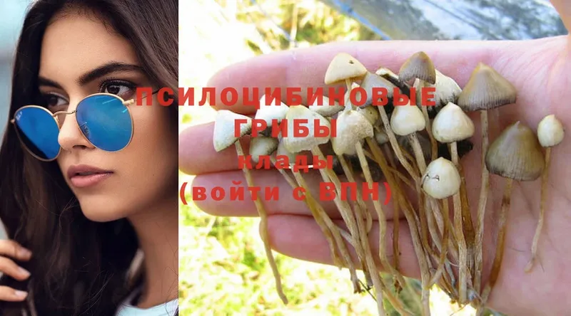 Псилоцибиновые грибы MAGIC MUSHROOMS  Белинский 